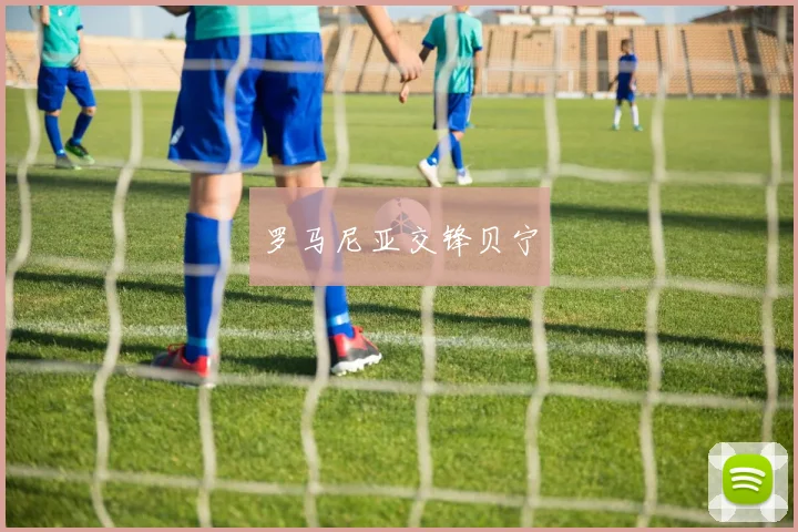 罗马尼亚交锋贝宁