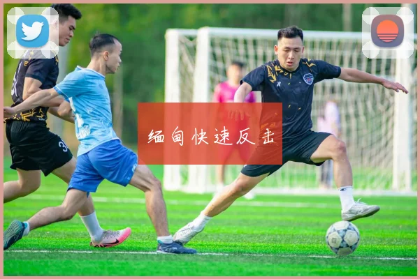 缅甸快速反击