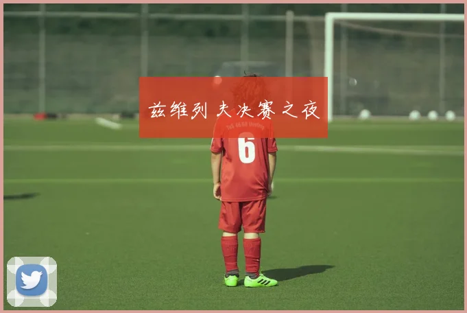 兹维列夫决赛之夜