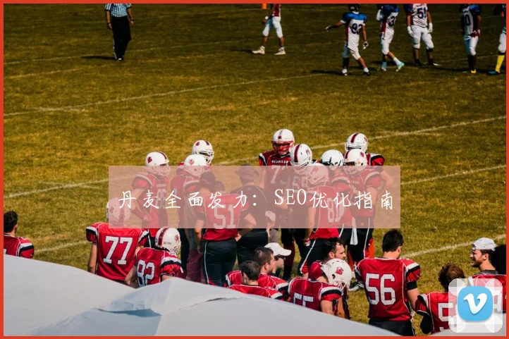 丹麦全面发力：SEO优化指南